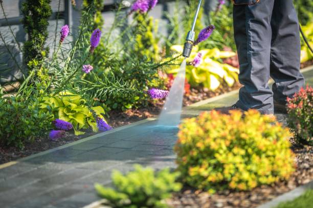 Trusted Monroe, IA Pressure Washing Services Experts